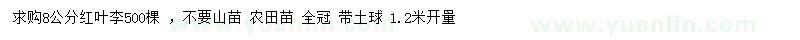 求購(gòu)8公分紅葉李