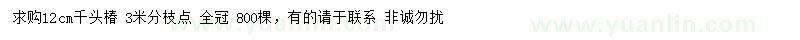 求購12公分千頭椿