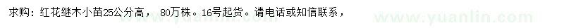求購(gòu)高25公分紅花繼木小苗