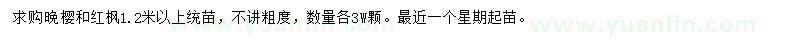 求購(gòu)1.2米以上晚櫻、紅楓
