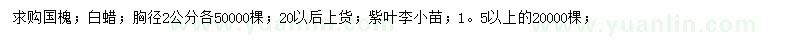 求購(gòu)國(guó)槐、白蠟、紫葉李