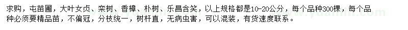 求購大葉女貞、欒樹、香樟等