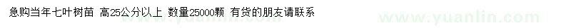 求購(gòu)高25公分以上七葉樹(shù)