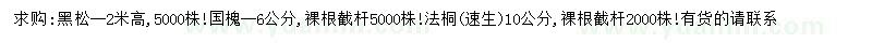 求購(gòu)黑松、國(guó)槐、法桐