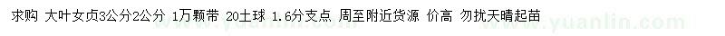 求購2、3公分大葉女貞