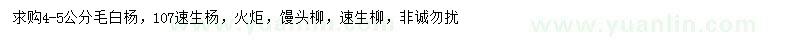 求購毛白楊、速生楊、火炬等