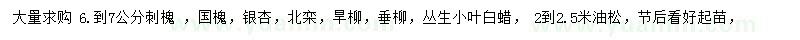 求購(gòu)刺槐、國(guó)槐、銀杏等