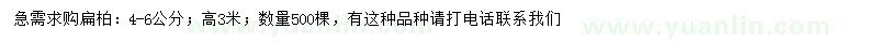 求購4-6公分扁柏