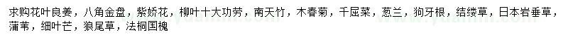 求購花葉良姜、八角金盤、紫嬌花等