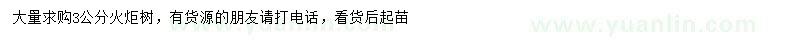 求購3公分火炬樹