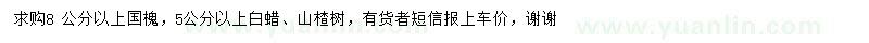 求購3公分以上國槐、5公分以上白蠟