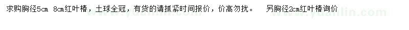 求購(gòu)胸徑5、8公分紅葉椿