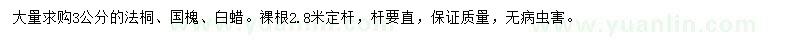 求購(gòu)法桐、國(guó)槐、白蠟