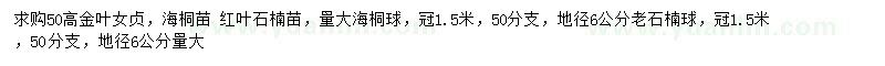 求購金葉女貞、海桐苗、紅葉石楠苗