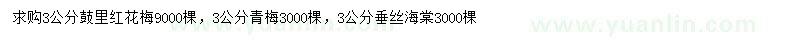 求購鼓里紅花梅、青梅、垂絲海棠