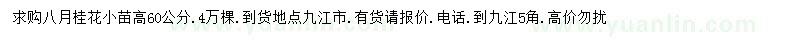 求購高60公分八月桂