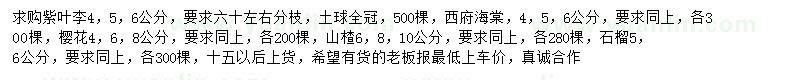 求購紫葉李、西府海棠、櫻花等