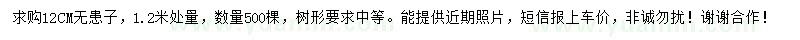 求購(gòu)12公分無(wú)患子