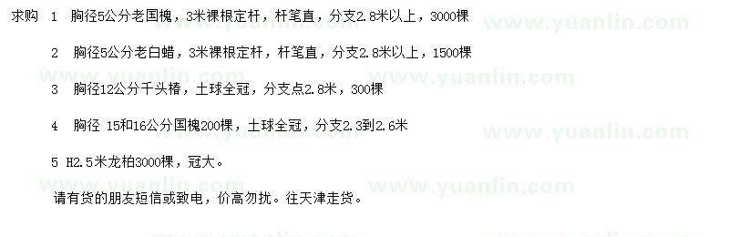 求購老國槐、老白蠟、千頭椿等