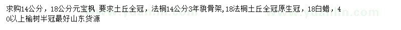 求購(gòu)元寶楓、法桐、白蠟等