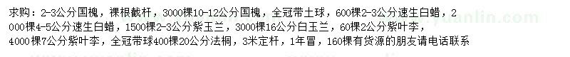 求購國槐、速生白蠟、紫玉蘭等