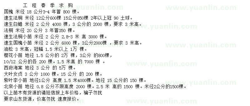 求購國槐、速生法桐、速生白蠟等