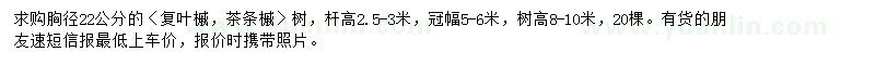 求購胸徑22公分復葉槭、茶條槭
