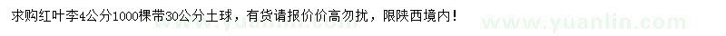 求購4公分紅葉李