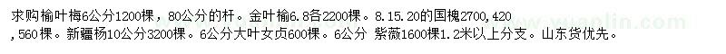 求購(gòu)榆葉梅、金葉榆、國(guó)槐等