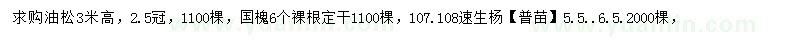 求購油松、國(guó)槐、107.108速生楊