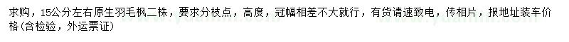 求購(gòu)15公分左右羽毛楓