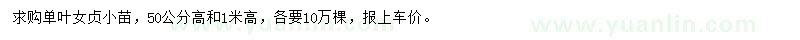 求購高0.5、1米女貞小苗