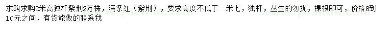 求購高2米獨桿紫荊