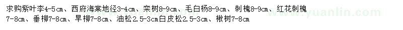 求購紫葉李、西府海棠、欒樹等