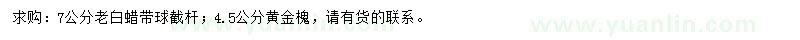 求購7公分老白蠟、4.5公分黃金槐