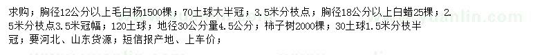 求購毛白楊、白蠟、柿子樹
