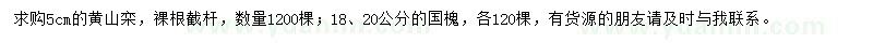 求購(gòu)5公分黃山欒、18、20公分國(guó)槐
