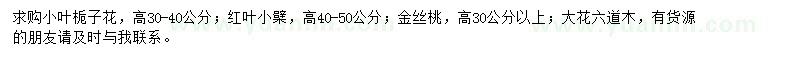 求購小葉梔子花、紅葉小檗、金絲桃等