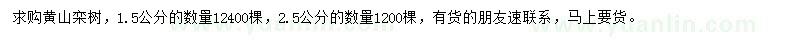 求購1.5、2.5公分黃山欒樹