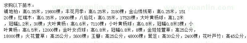 求購(gòu)鋪地柏、豐花月季、金山繡線(xiàn)菊等