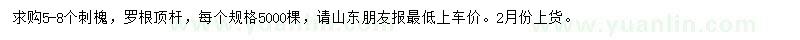 求購5-8公分刺槐
