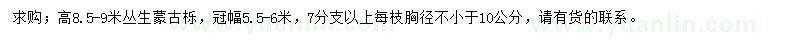 求購(gòu)高8.5-9米叢生蒙古櫟