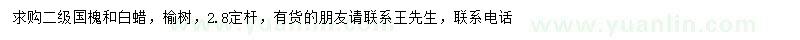 求購(gòu)國(guó)槐、白蠟、榆樹(shù)