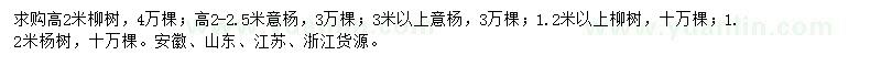 求購法桐、意楊、柳樹等