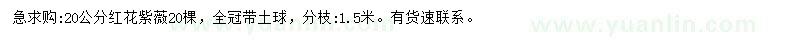 求購20公分紅花紫薇