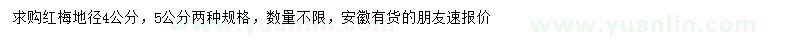 求購地徑4-5公分紅梅