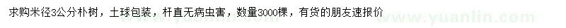 求購米徑3公分樸樹