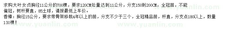 求購胸徑11公分大葉女貞、胸徑15公分香樟