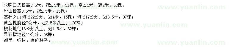求購白皮松、華山松、高桿女貞等