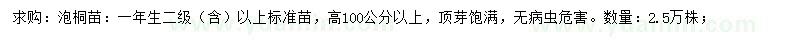 求購高100公分以上泡桐苗